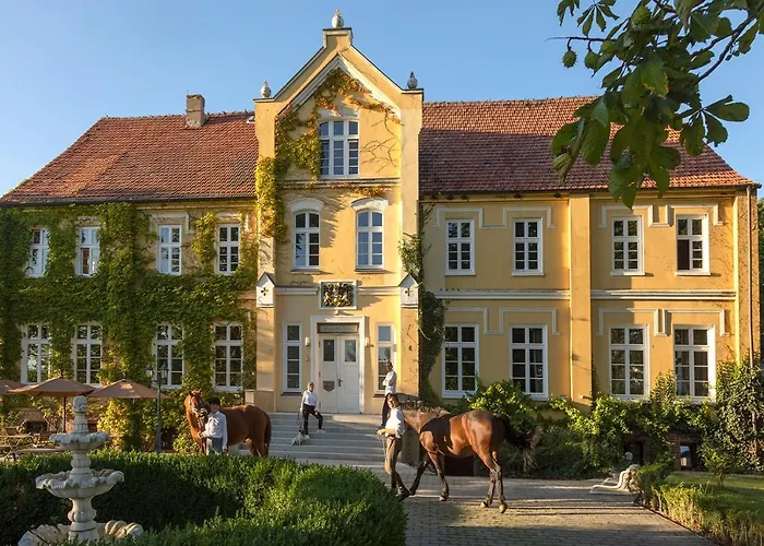 Ferienwohnung Mit Kamin Und Traumhafter Dachterrasse Mit Weitblick In Die Natur